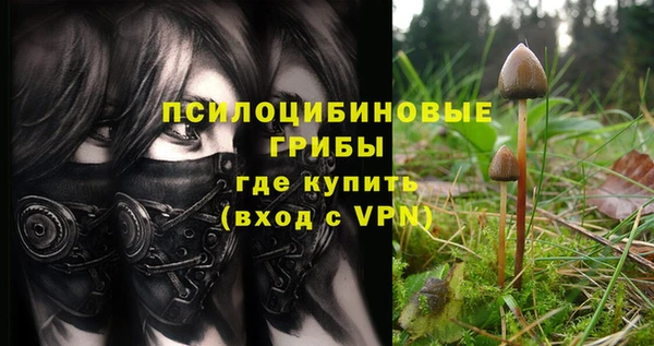 меф Арсеньев