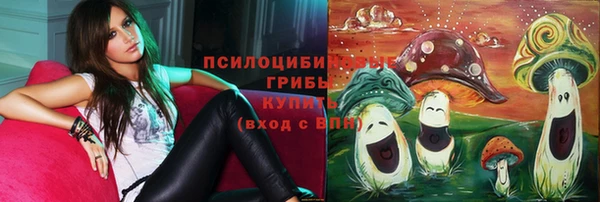 эйфоретик Армянск