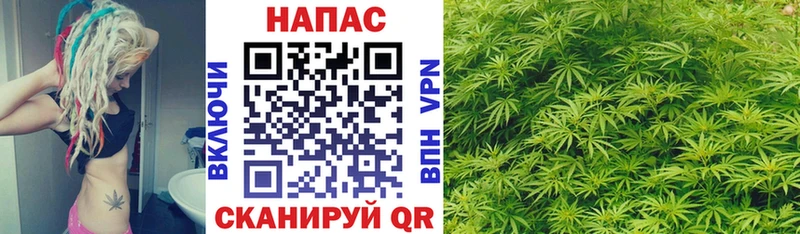Марихуана сатива Унеча